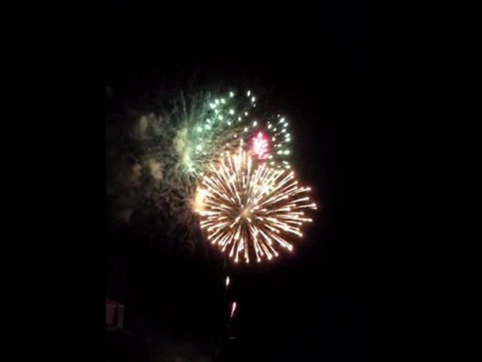 Feu d'artifice d'Albi le 14 juillet 2010 - 5