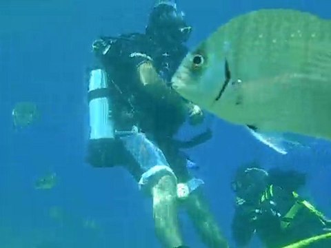 Bursa Oasis Dalış Ve Doğa Sporları Eğitim Merkezi