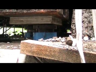 VERINAGE DU PONT DE COMINES 15 JUILLET 2010