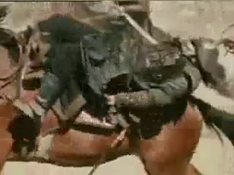 300 Sartalı değil 40 Göktürklü