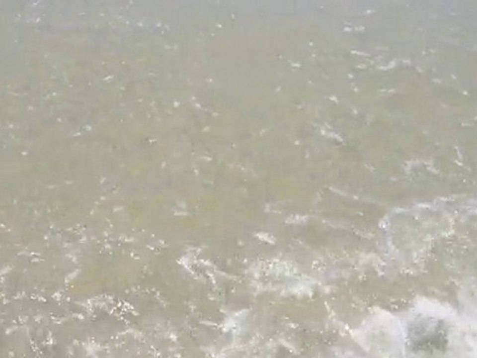 Berck 2 11.07.2010