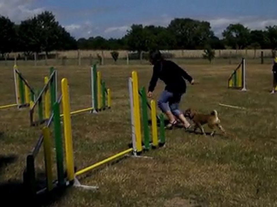 Agility Fisca 2ième Séance