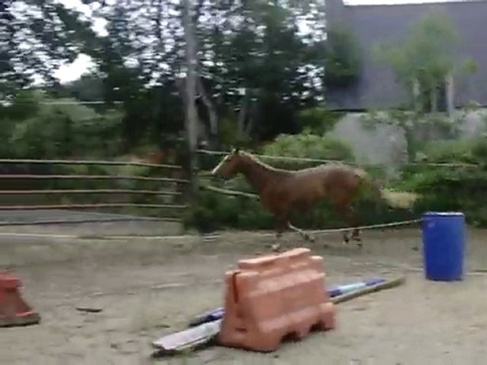 Ecuries du Nevez Toys 3