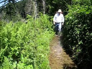 Entretien du bief du Saut du Gier - 16 juillet 2010