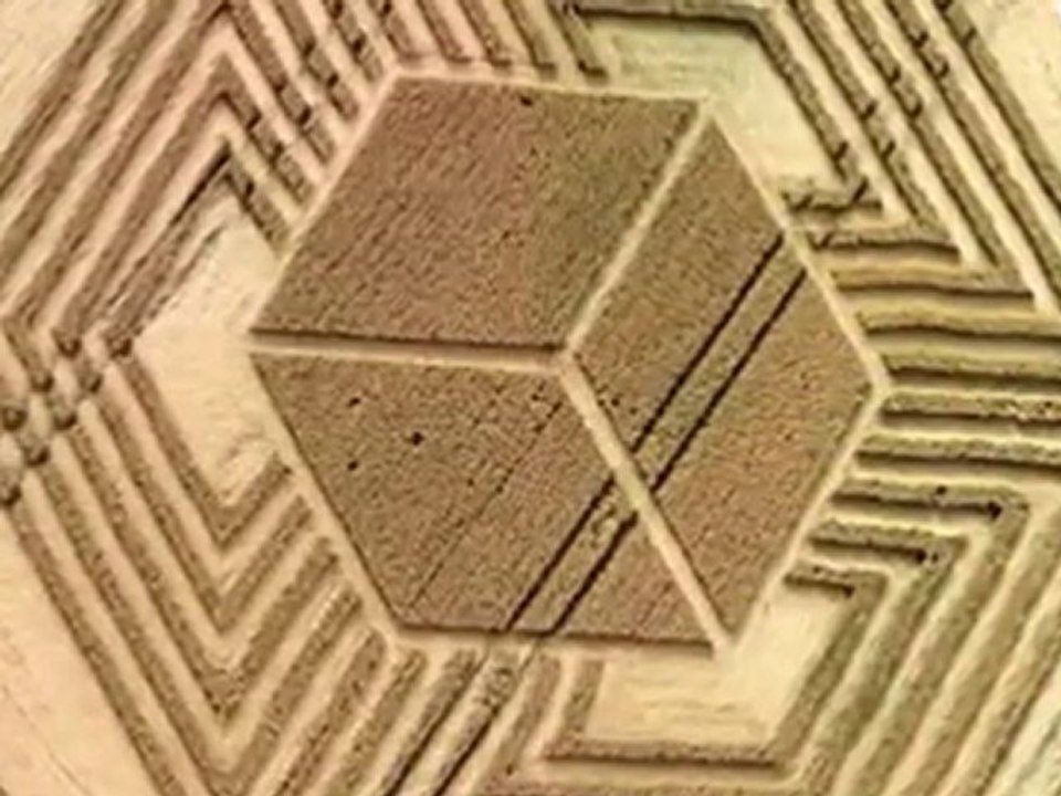 Crop circle 17 juillet 2010  Fosbury Wiltshire UK