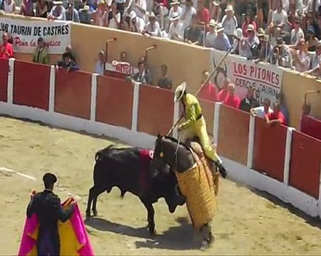 ceret de toros 2010 OYE MUCHO 11 juillet