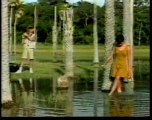Chamadas da Novela Pantanal - TV Manchete 1990
