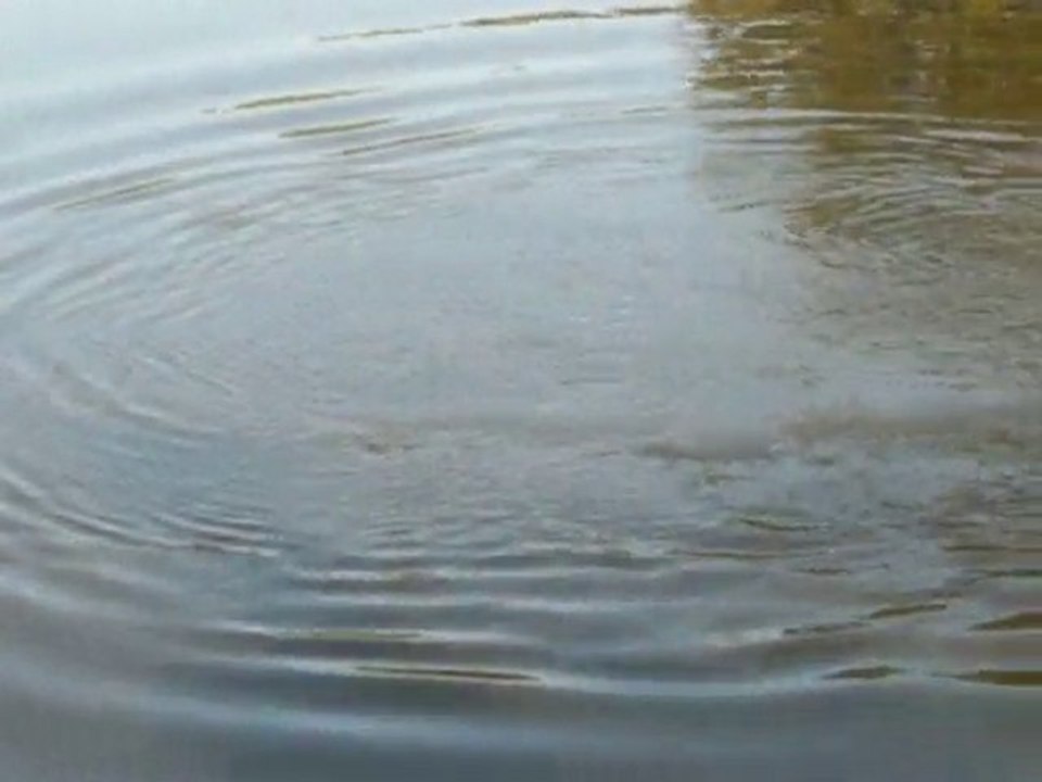 chevenon le 17072010 002