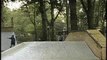 Skateboarding Videos- Rodney Mullen