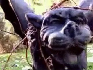 Making of Avril Lavigne's Forbidden Rose Commercial