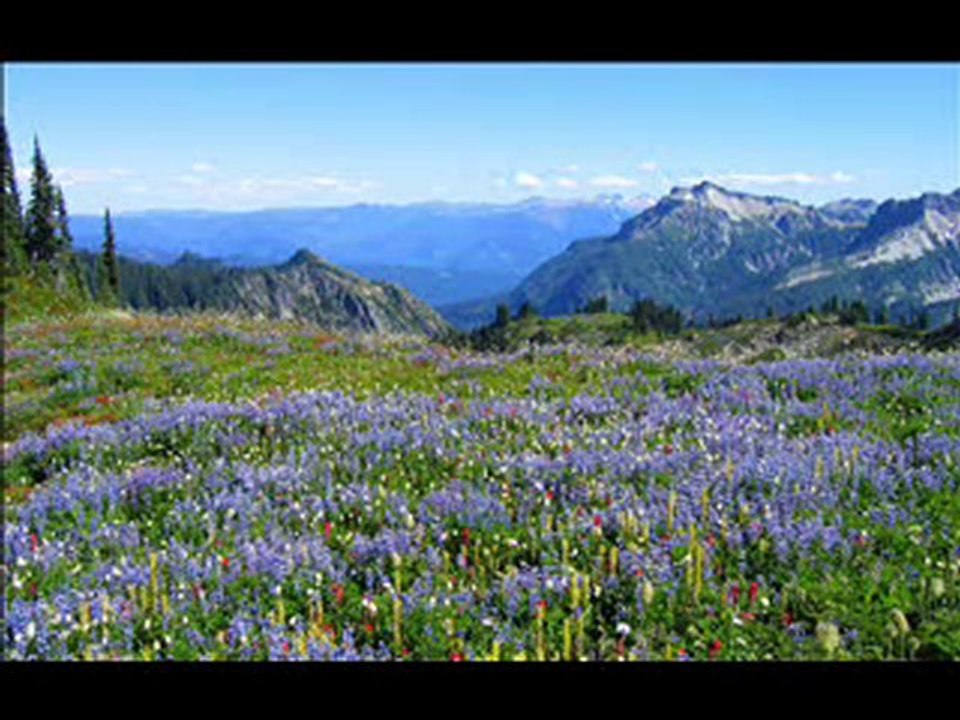 Kamel Messaoudi - Chaftek kaada aala chat el bahr