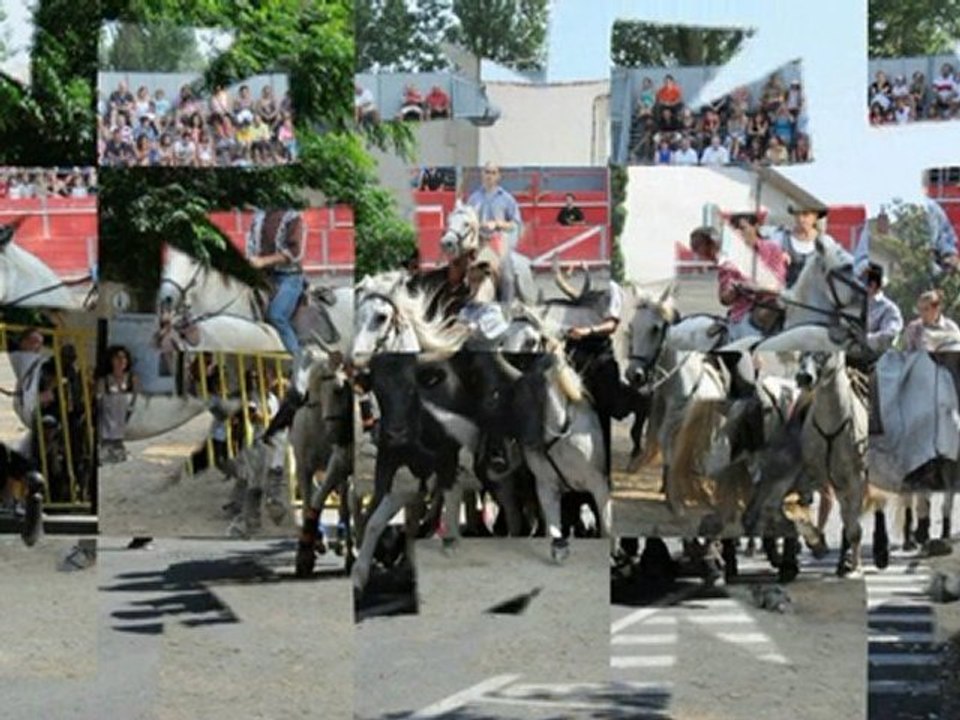 Féria de Portiragnes 2010 HD