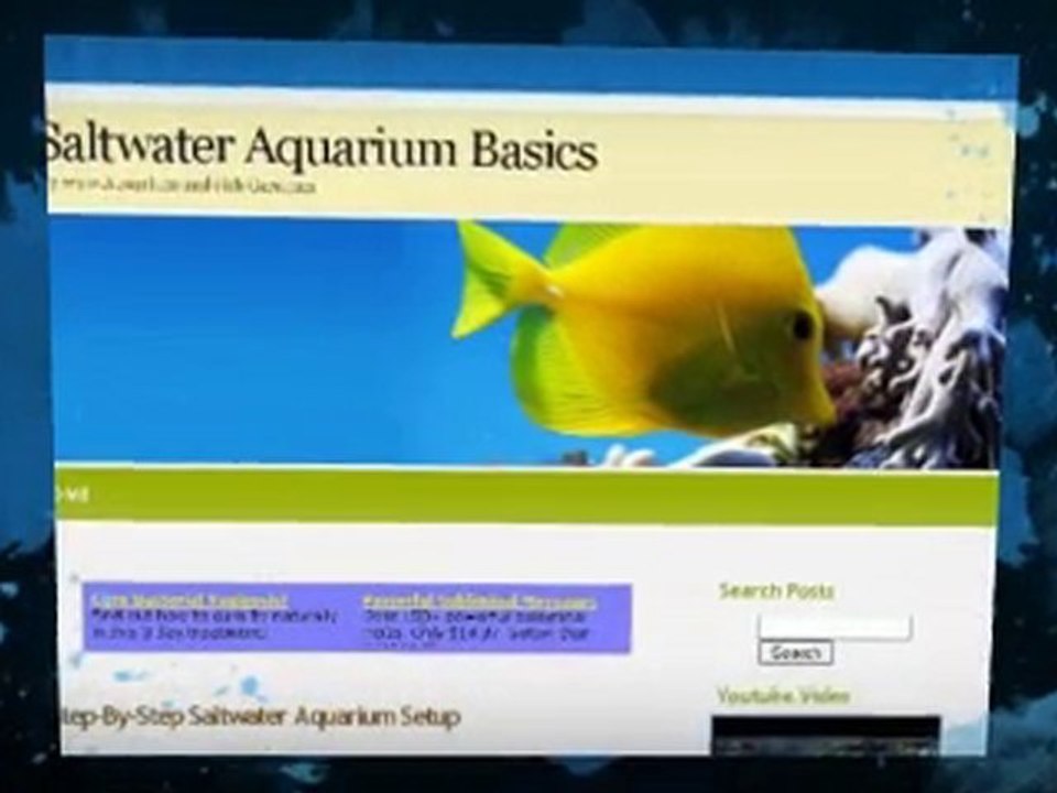 Aquarium and Fish Care