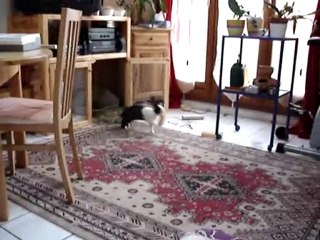 atilla et son jus d'orange