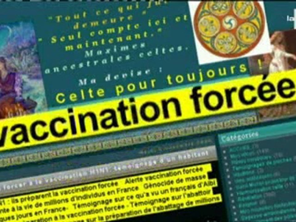 H1N1, la grande tromperie? - 1