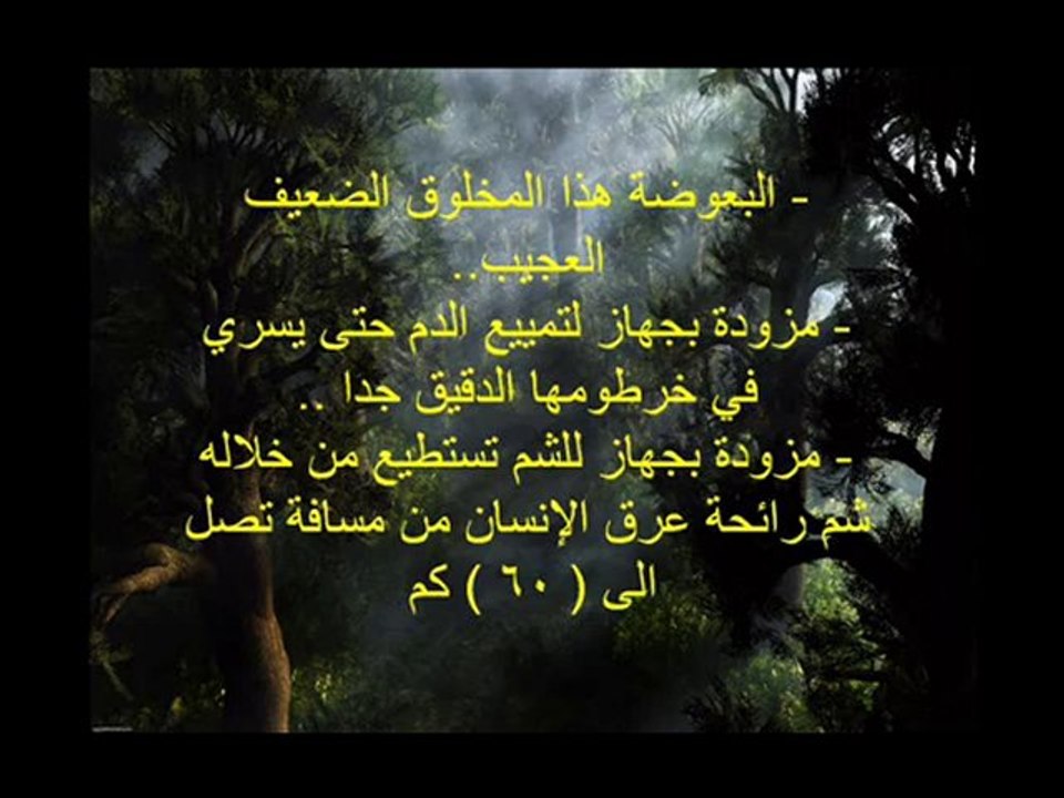 ‏سبحان الملك!! أنظر الى قدرتة [HQ]‏