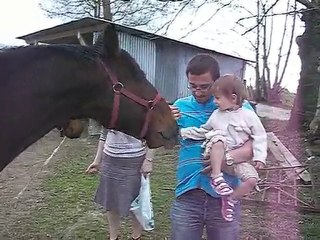 zoé donne à manger aux chevaux avec sa mamie