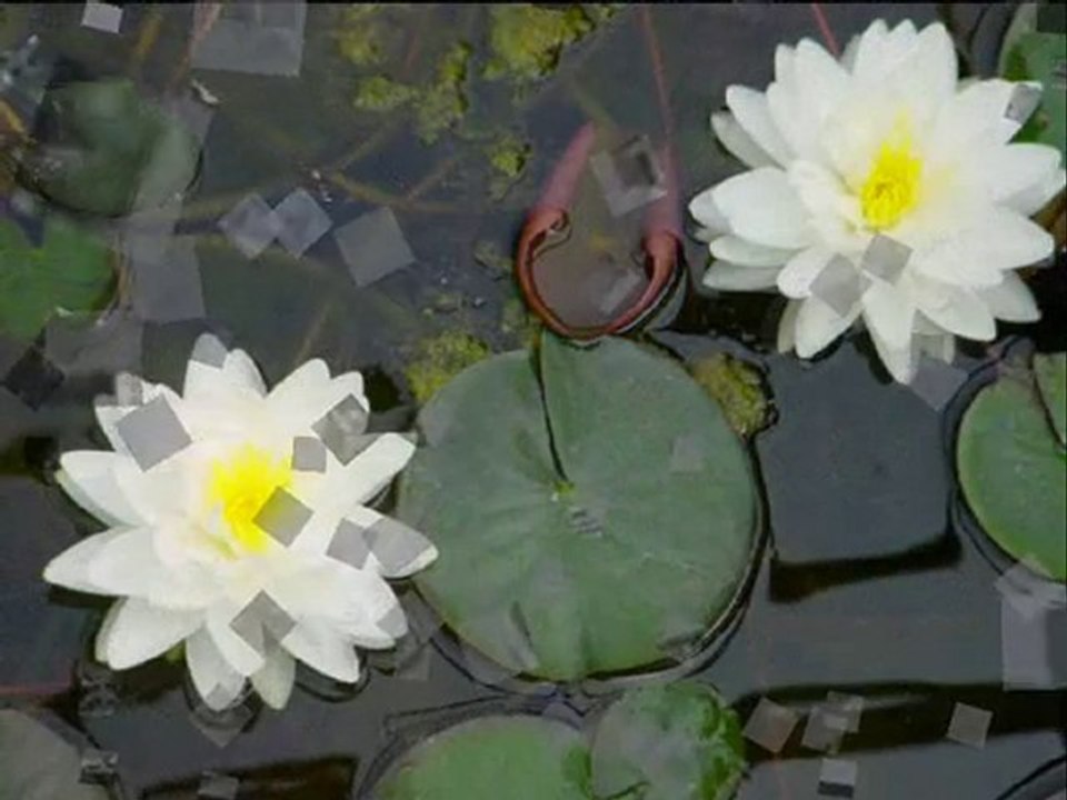 Yagmur agliyor~Set By AKIN