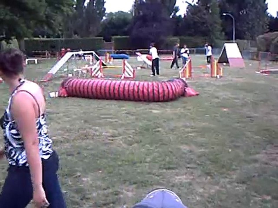 agility nocturne  blagnac 2010