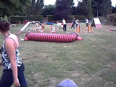 agility nocturne blagnac 2010