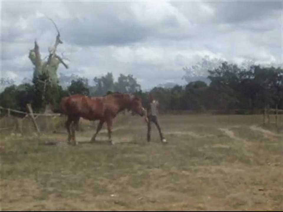 mardianais_0001