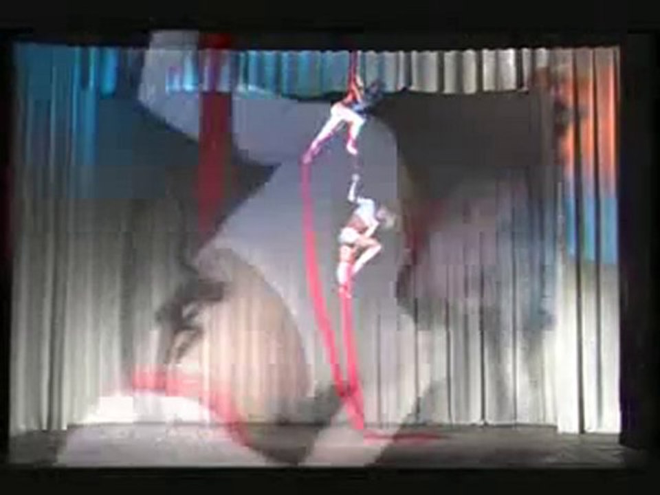 Duo Goncharova-silk