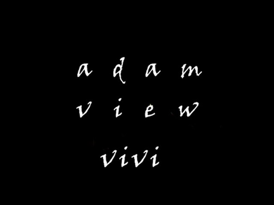 adam view vivi