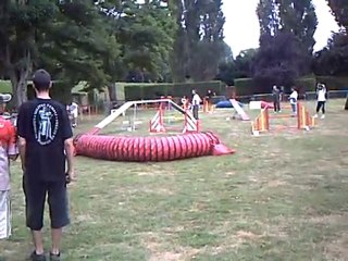 agility nocturne blagnac 2010 (3)