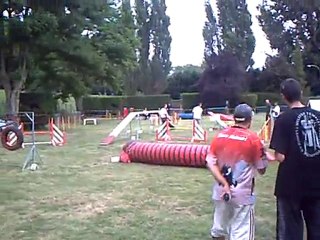 agility  nocturne blagnac 2010 (4)