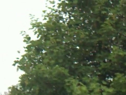 meeting aérien de prouvy - valenciennes du 14 juillet 2010