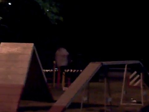 agility nocturne blagnac 2010 (7)