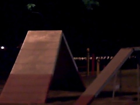 agility nocturne blagnac 2010 (8)