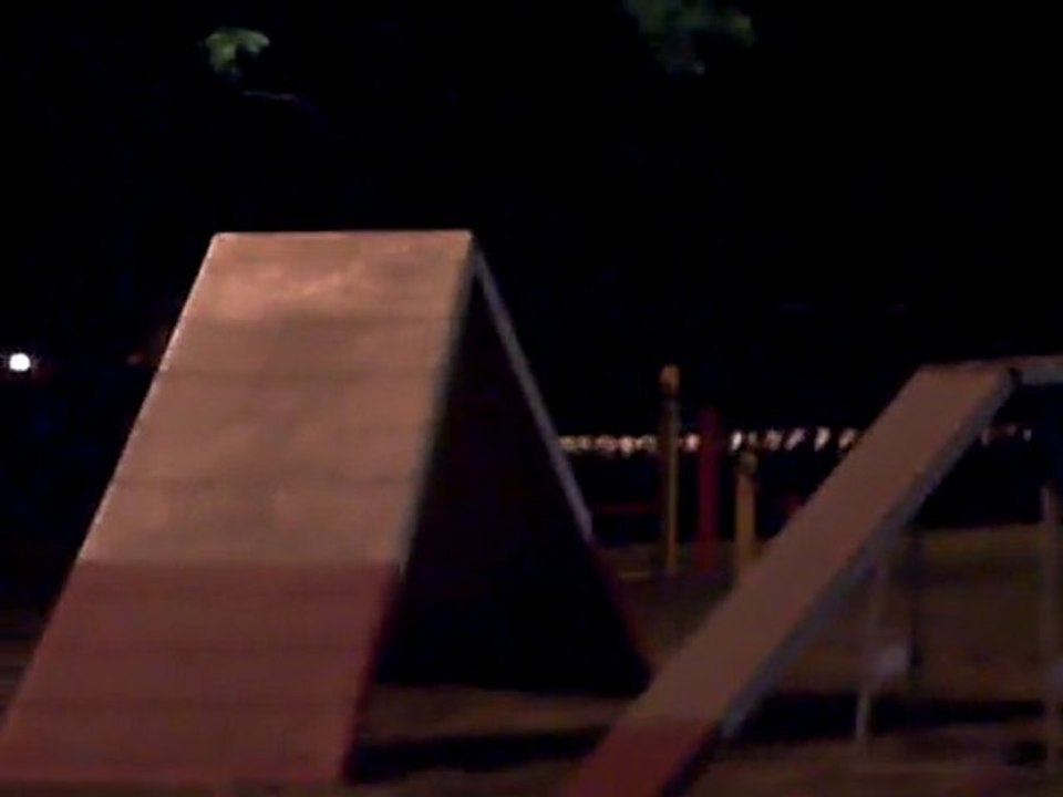 agility nocturne blagnac 2010 (8)