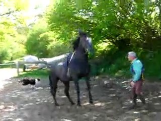 Mr Jean Yves Bonnet, entrainement d'Istambul et Orphée