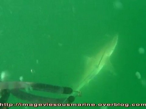 devoirs de vacances 1