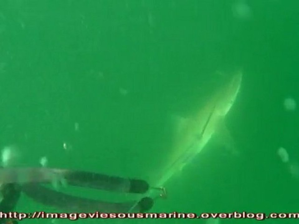 devoirs de vacances 1