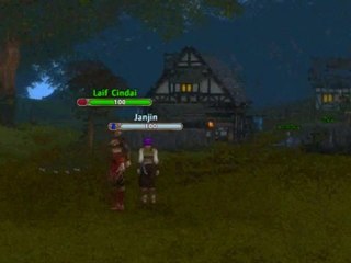 Weird bug in Runes of Magic