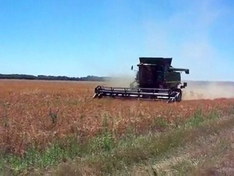 John Deere C670 moisson 2010 dans les pois