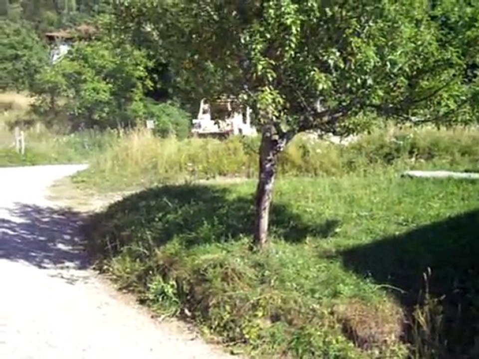 mon cournil premier essais avec les enfants