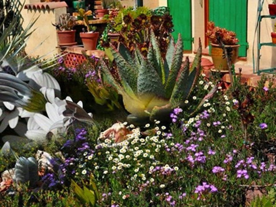 mon jardin 2010 avril HD