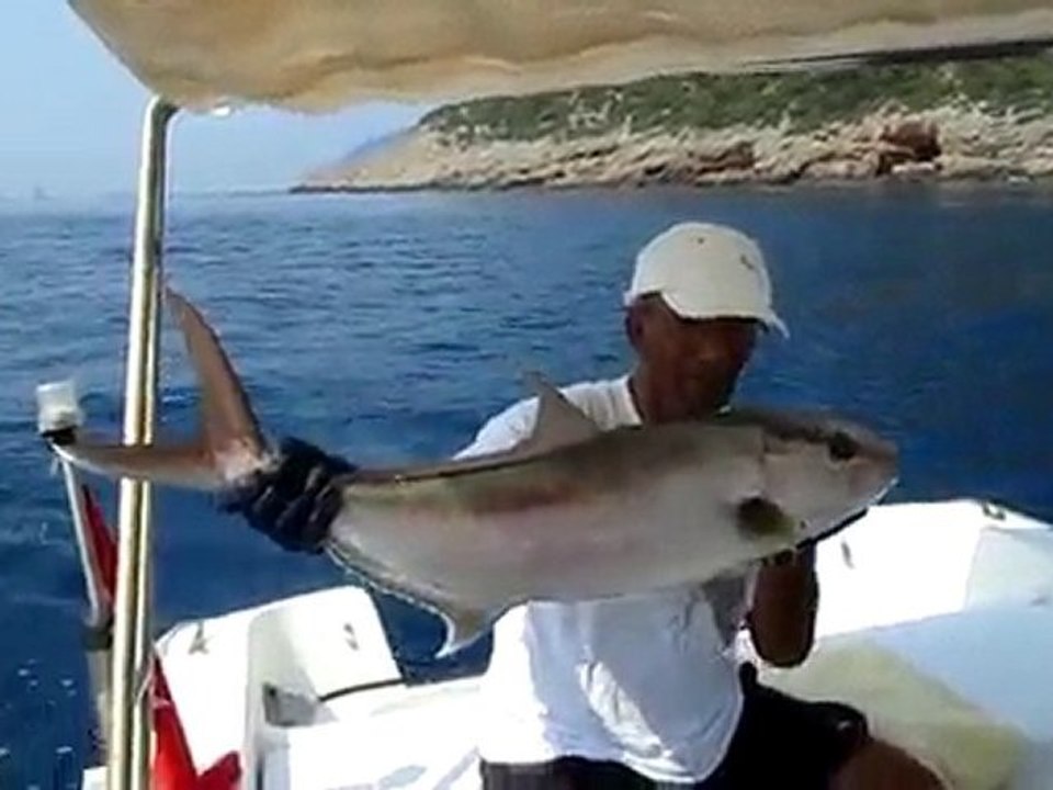 adrasan akya aybars mustafa abi