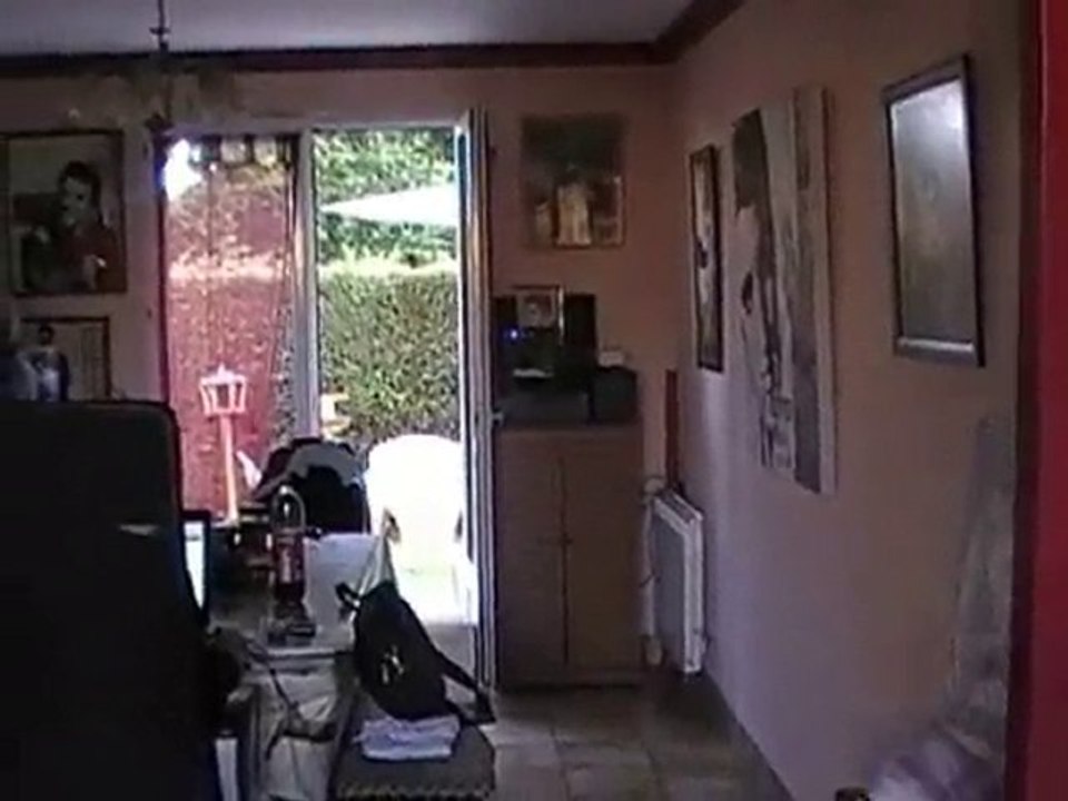 tire au dan wesson dans la maison