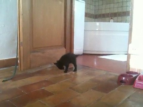 Pilou-pilou Juillet 2010