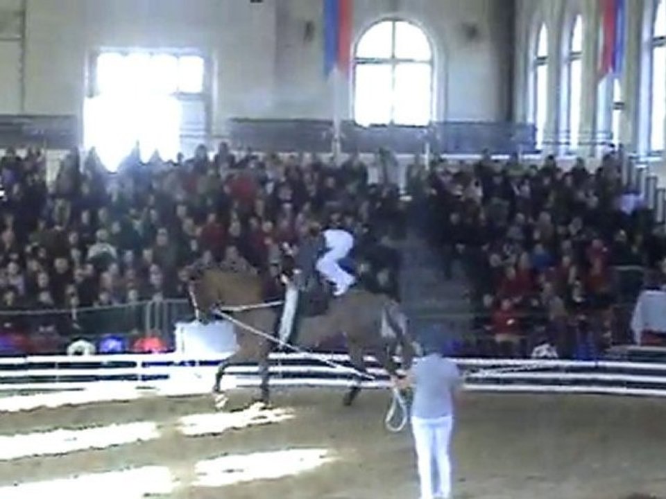 nicolas andréani cvi saumur 2010 programme technique