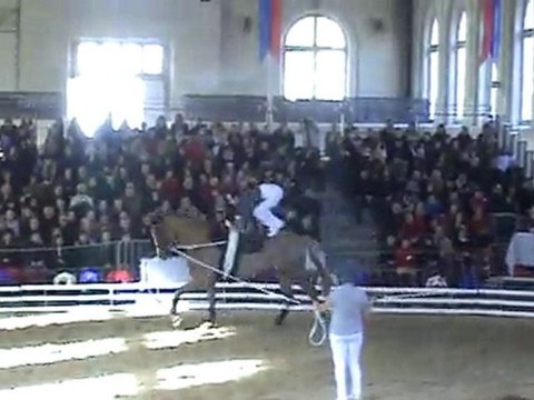 nicolas andréani cvi saumur 2010 programme technique