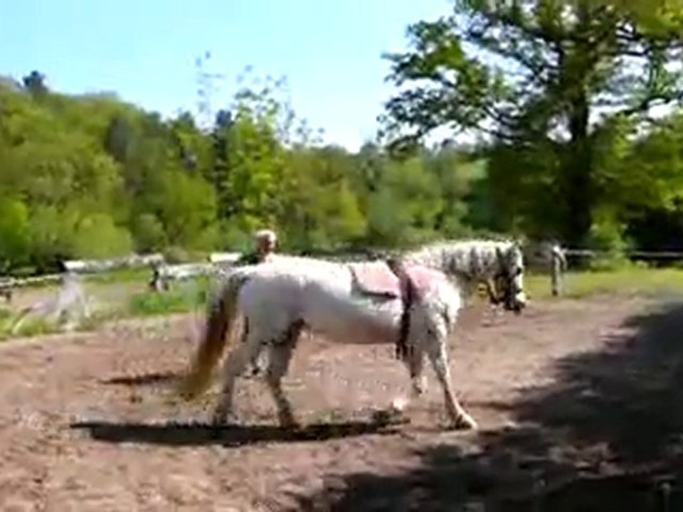 Mr Jean-Yves Bonnet & Kiddah début longues rènes