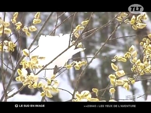 Neige dans les corbières lagrasse (Aude)