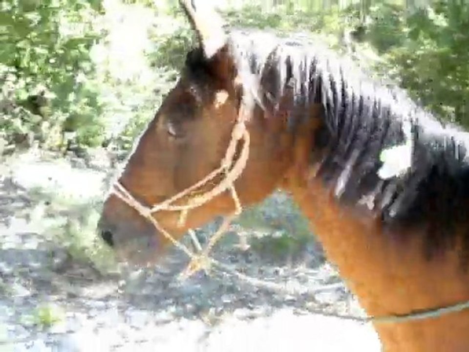 Balade Galatéo et antharès le 18/07/10