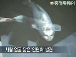 İnsan yüzlü ilginç balık