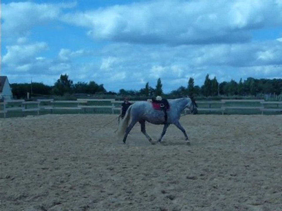 Pakita_galop en longe_17/07/2010